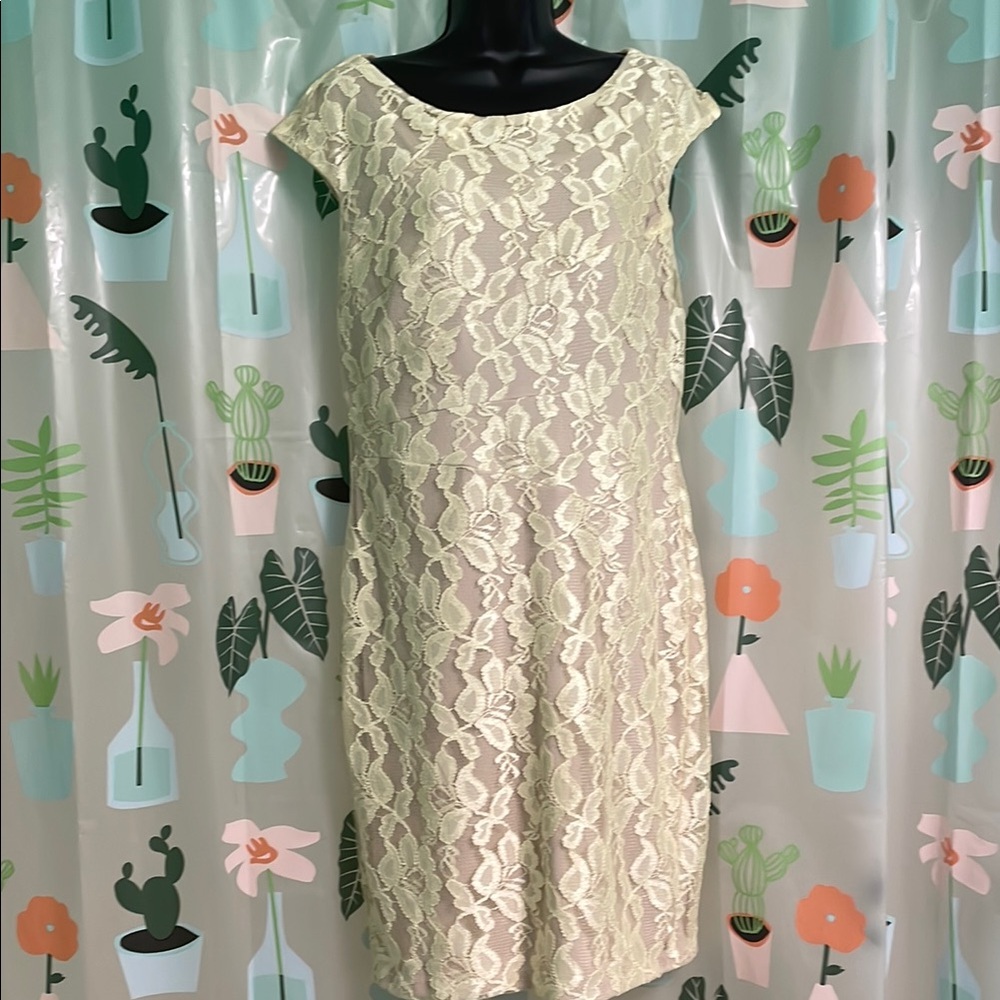 Elegant Dress Barn Lace Dress